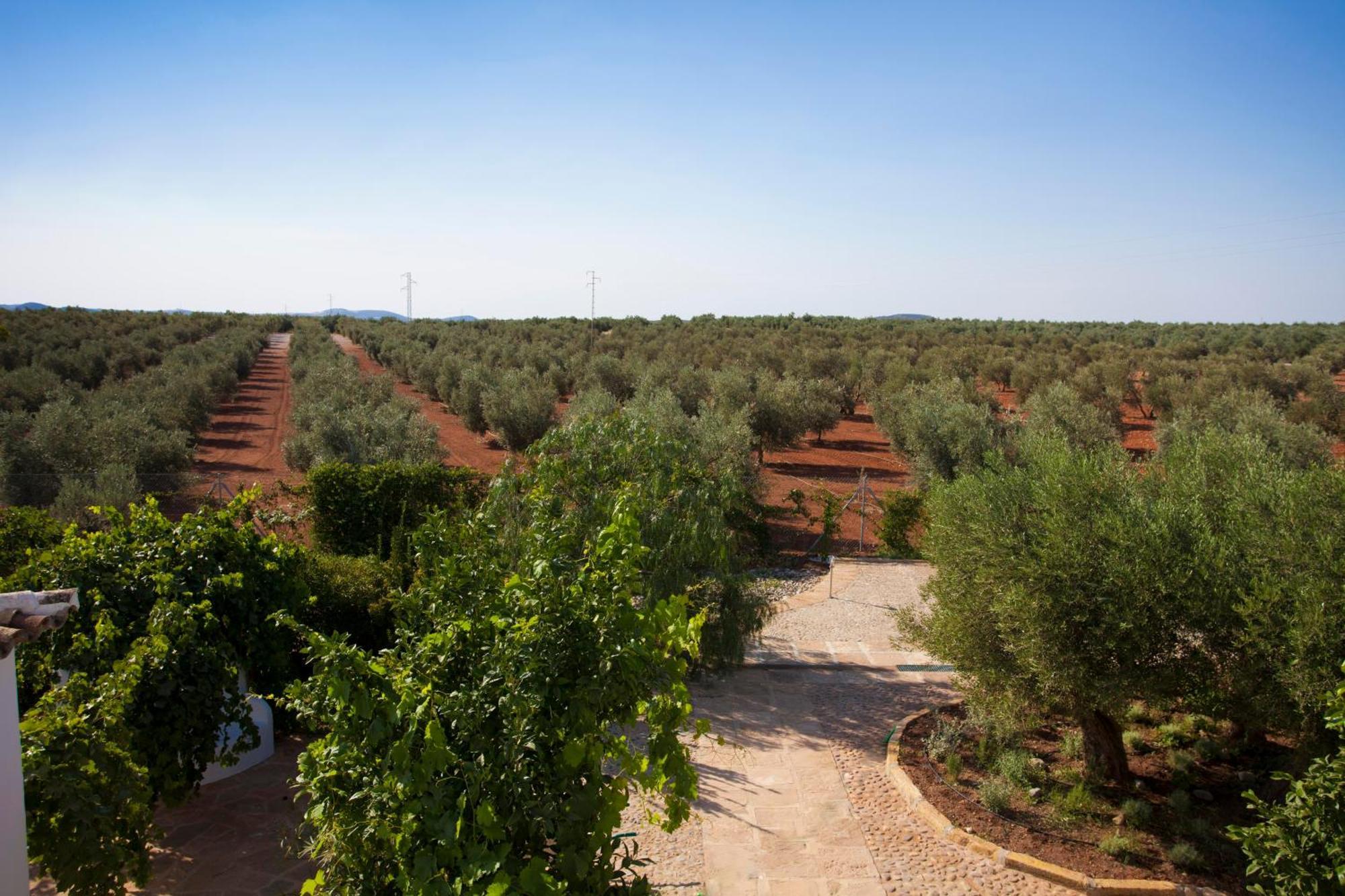 Rural Hoyo Bautista *